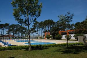 a swimming pool in a park with a tree at Parque de Campismo Orbitur Vagueira in Gafanha da Boa Hora
