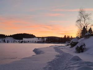 a path in the snow next to a frozen lake at Au Coeur du Lapidaire in Septmoncel