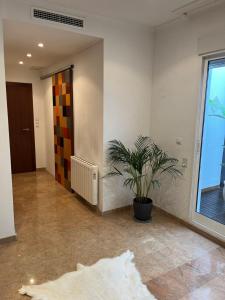 Ο χώρος του λόμπι ή της ρεσεψιόν στο Casa Dani