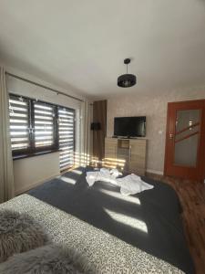 TV a/nebo společenská místnost v ubytování Apartament Hey Gron
