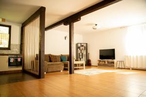 ein Wohnzimmer mit Sofa und Fernseher in der Unterkunft Casa Valea Prejbei in Rau Sadului