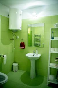 ein grünes Bad mit einem Waschbecken und einem Spiegel in der Unterkunft Casa Valea Prejbei in Rau Sadului