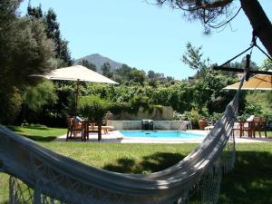 una hamaca en un patio junto a una piscina en Casa do Barreiro de Cima, en Mondim de Basto
