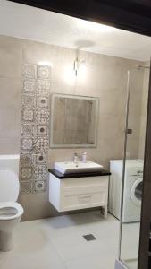 a bathroom with a sink and a toilet and a mirror at Casa Noastră in Vidra