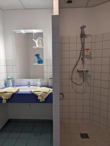 Koupelna v ubytování Auberge des Trains Mythiques Chambres d'hôtes à Gouarec au pied de la Vélodyssée