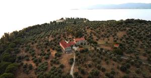 a house on top of a hill with trees at Trasimeno Nature house in Castiglione del Lago