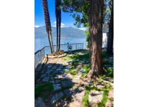 a walkway with trees and a view of the water at Pied dans l’Eau in Brezzo