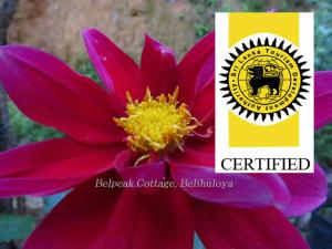 Certifikát, hodnocení, plakát nebo jiný dokument vystavený v ubytování Belpeak Cottage
