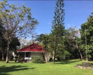 Zahrada ubytování Subodinee Bungalow + 13 fotografií