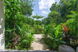 a path through a garden with plants and trees at Loft Hermosa at Tulum's Mistiq Temple II Beaches in Tulum