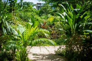a garden with green plants and a dirt road at Loft Hermosa at Tulum's Mistiq Temple II Beaches in Tulum