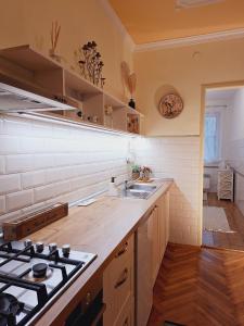 una cocina con fregadero y estufa horno superior en Middletown apartment No 1, self check-in 24 h, en Banská Bystrica