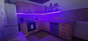 a kitchen with purple lights in a dark room at Cabana Sebes Bera in Făgăraş