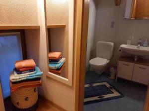 a small bathroom with a toilet and a sink at Bellissimo Chalet con vista in Faido +25 photos