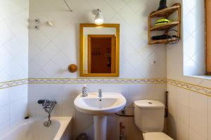 un bagno con lavandino, WC e specchio di Casa del Tio Primitivo a Navarredonda de Gredos Altre 21 foto