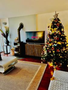 a christmas tree in a living room with a tv at Roseberry Cottage - Lower Mill Estate in Somerford Keynes