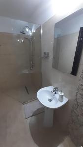 ein Badezimmer mit einem weißen Waschbecken und einer Dusche in der Unterkunft Casa Valea Prejbei in Rau Sadului + 26 Fotos