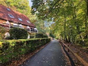 a street with a house and a tree lined road at 10 mns d'Obernai, Le Refuge du petit Lutin Vert in Boersch