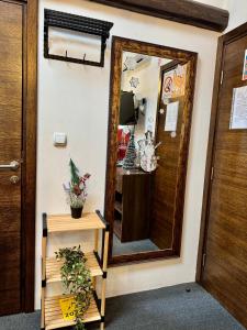 Fotografie z fotogalerie ubytování Pirocanac Rest&Rooms top 25 v destinaci Pirot