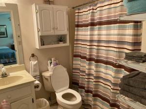 a bathroom with a toilet and a shower curtain at Rose's House in Lanett +23 photos