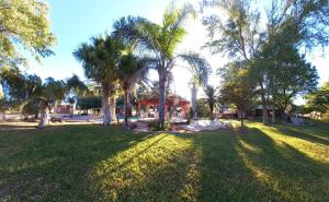 a park with palm trees in the grass at Ouhave Country Home in Osire