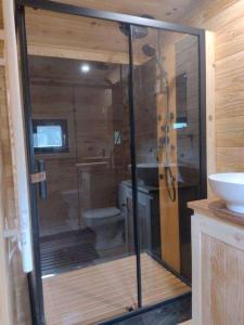 a bathroom with a shower and a toilet at l'Eden du Sancerrois in Sens-Beaujeu