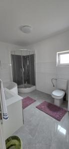 Koupelna v ubytování Apartman Grošić