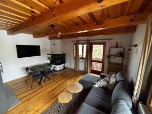 TV a/nebo společenská místnost v ubytování Apartmán s krbom vedľa Zubačky