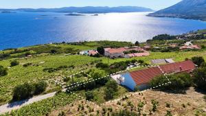 an aerial view of a house on a hill next to the water at Villa More in Postup