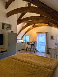 Kuchyň nebo kuchyňský kout v ubytování B&B TxL