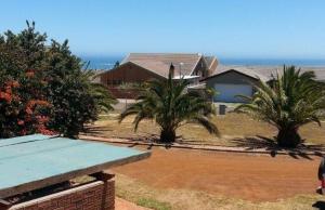 a house with palm trees and a blue bench at Yzerzee 2 in Yzerfontein
