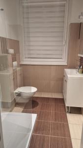 a bathroom with a toilet and a sink and a window at Apartmán Vintage A2 v Chomutově in Chomutov +6 photos