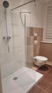 a bathroom with a shower and a toilet at Apartmán Vintage A2 v Chomutově in Chomutov