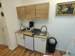 Kuchyň nebo kuchyňský kout v ubytování Pension DonauBlick Grein 2 in Stifterstrasse 19A