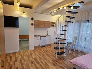 Kuchyň nebo kuchyňský kout v ubytování Pension DonauBlick Grein 2 in Stifterstrasse 19A