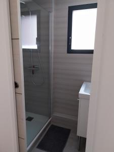 a shower with a glass door in a bathroom at Maison bois Port-Louis in Port-Louis