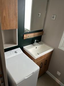 莱马特Mobil home climatisé 6,8 Pers SIBLU BONNE ANSE PLAGE LA PAMYRE LES MATHES的带水槽和镜子的小浴室
