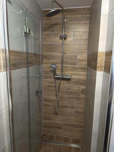 a shower stall with a shower head in a bathroom at Apartament Japko in Gliwice +26 photos