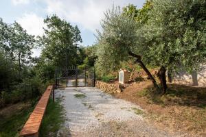 Κήπος έξω από το Villa Thesan