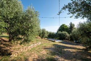 Φυσικό τοπίο κοντά σε αυτή η βίλα +17 φωτογραφίες