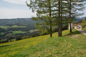 Gallery image of Gästepension Edeltraud in Hirschegg Rein