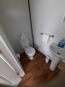 a small bathroom with a toilet and a sink at Teach Greannaí Cabin in Curraunboy +9 photos