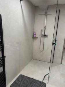 una ducha con puerta de cristal en un baño en Charmante petite maison, en Publier 23 fotos más