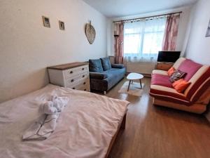 Posezení v ubytování Apartment Nový Svět 562 by Interhome + 24 fotografií
