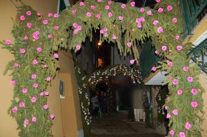 Kép holiday on the island szállásáról Monte Isolában a galériában