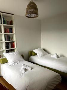 two beds in a room with bookshelves at Villa au calme avec piscine in Saint-Ismier