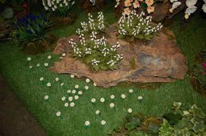 A garden outside holiday on the island