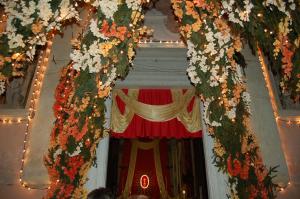 Kép holiday on the island szállásáról Monte Isolában a galériában