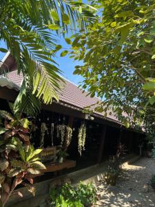 a building with a bunch of plants in front of it at The Bodhi House in Chiang Mai