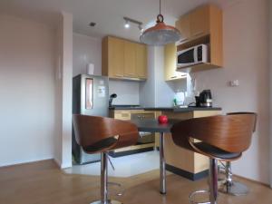 Kuhinja ili čajna kuhinja u objektu Concepción Suites